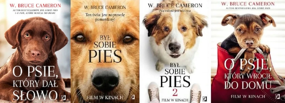 O psie który wrócił do domu książka - poruszająca historia miłości