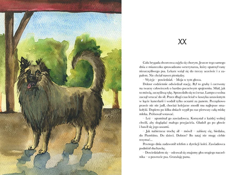 Kto jest autorem książki o psie, który jeździł koleją? Poznaj Roman Pisarski